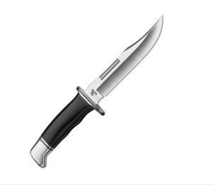 Buck 119 Special